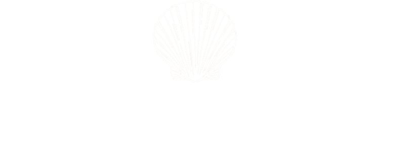 Seashell Boutique