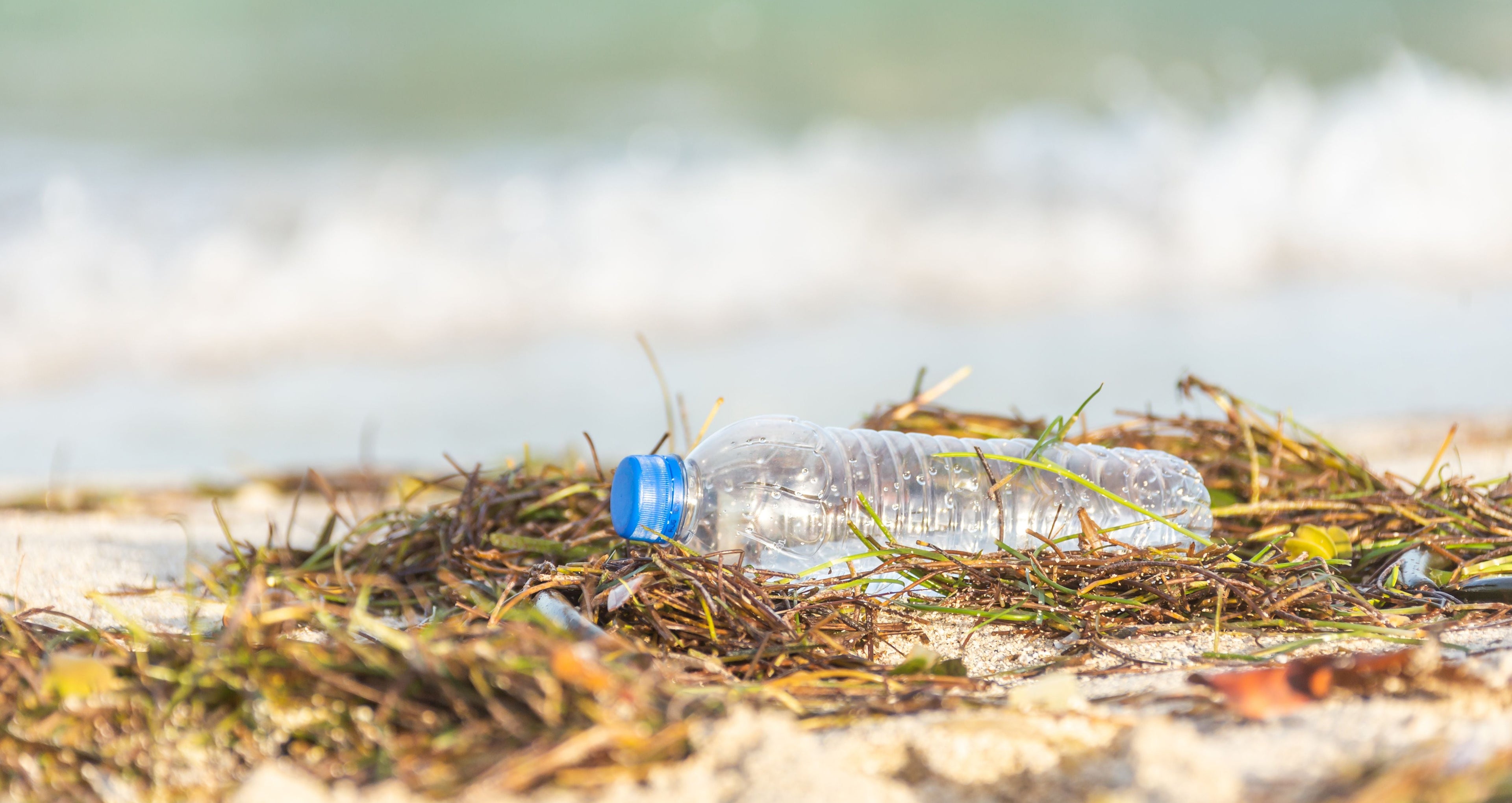 Plastic bottle on a beach with seaweed and water in the background