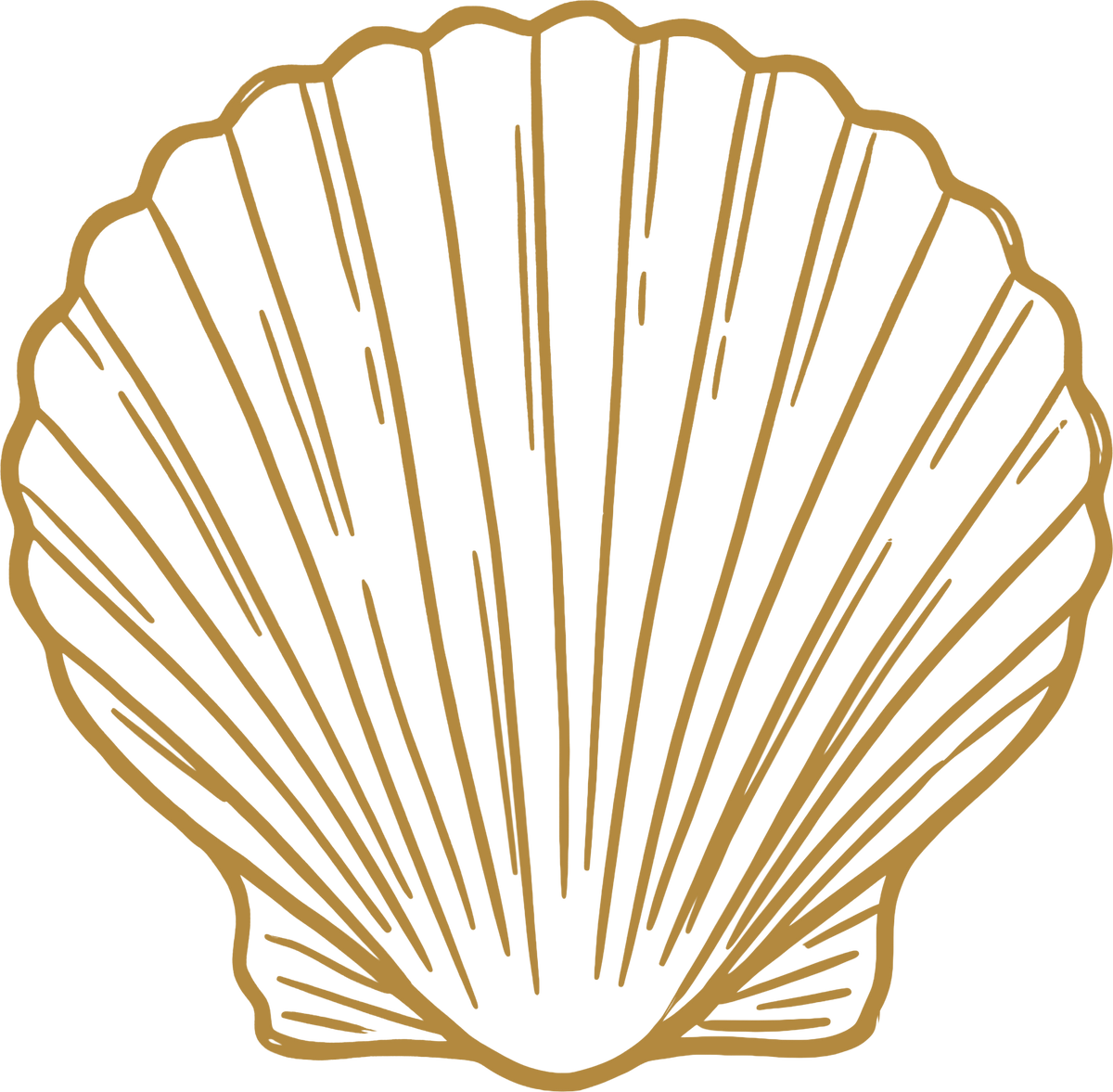 A stylized gold line drawing of a scallop shell on a solid black background.